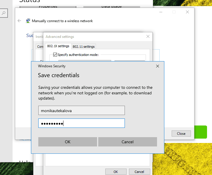 save credentials